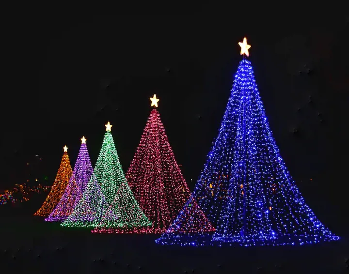 Several Christmas trees each with a single colour of lights. Each has a star on top.